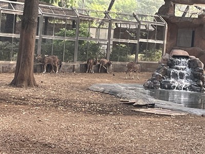 School picnic – Jijamata Udyan
