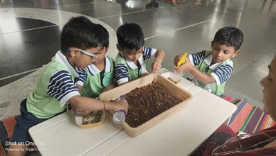 FY3 - SSC VP - Germination activity