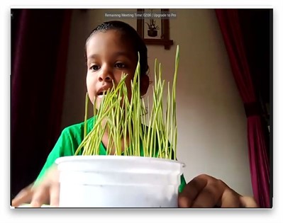 Germination