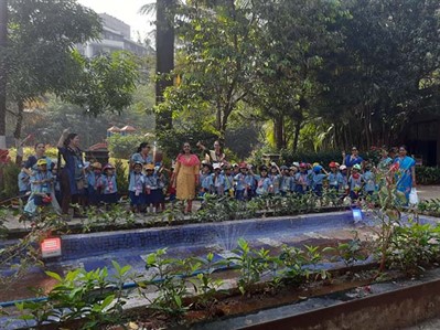 School Picnic
