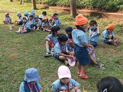 School Picnic