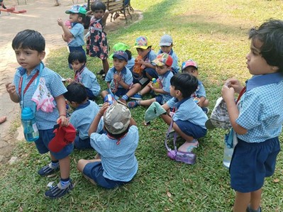 School Picnic
