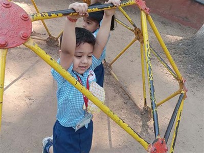 School Picnic